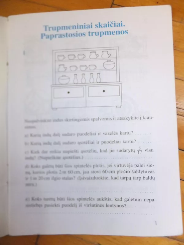 Matematika ir pasaulis. Pratybų sąsiuvinis V klasei (C) - Viktorija Sičiūnienė, Marytė  Stričkienė, knyga 5