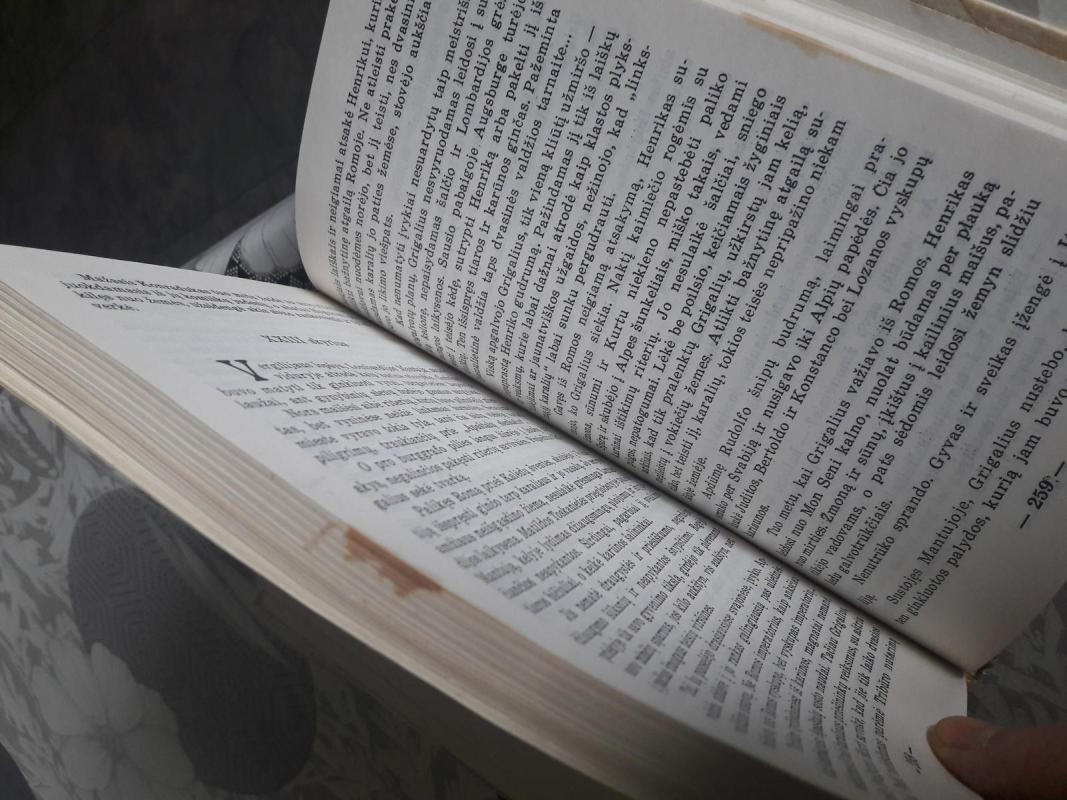 Tiara ir karūna - Teodoras Jaske-Choinskis, knyga 4