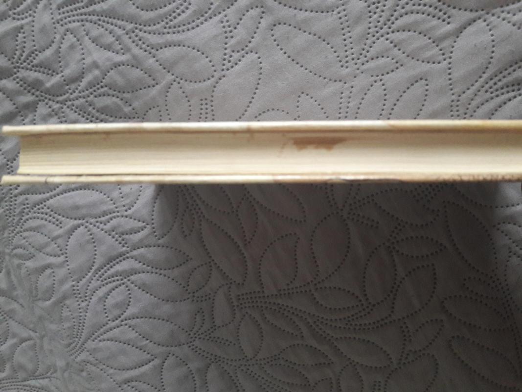 Tiara ir karūna - Teodoras Jaske-Choinskis, knyga 3