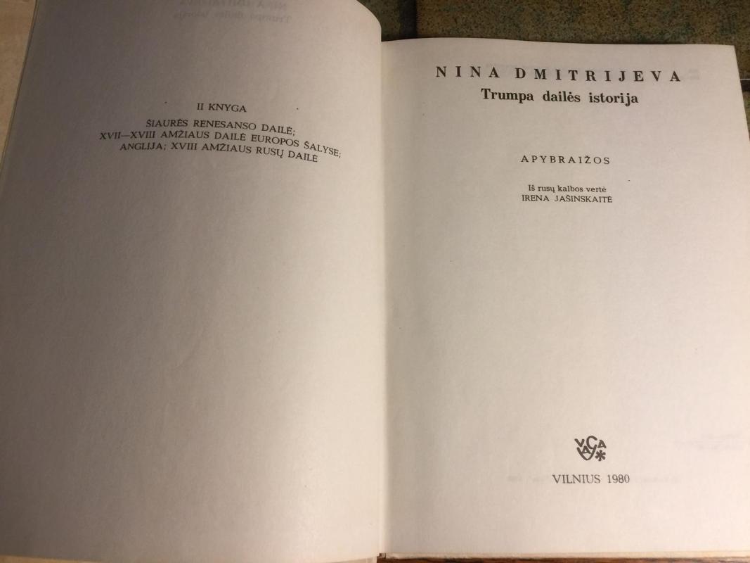 Trumpa dailės istorija - Nina Dmitrijeva, knyga 3