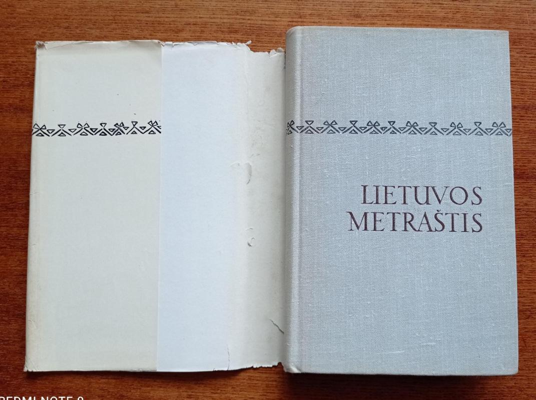 Lietuvos metraštis. Bychovco kronika - Autorių Kolektyvas, knyga 3