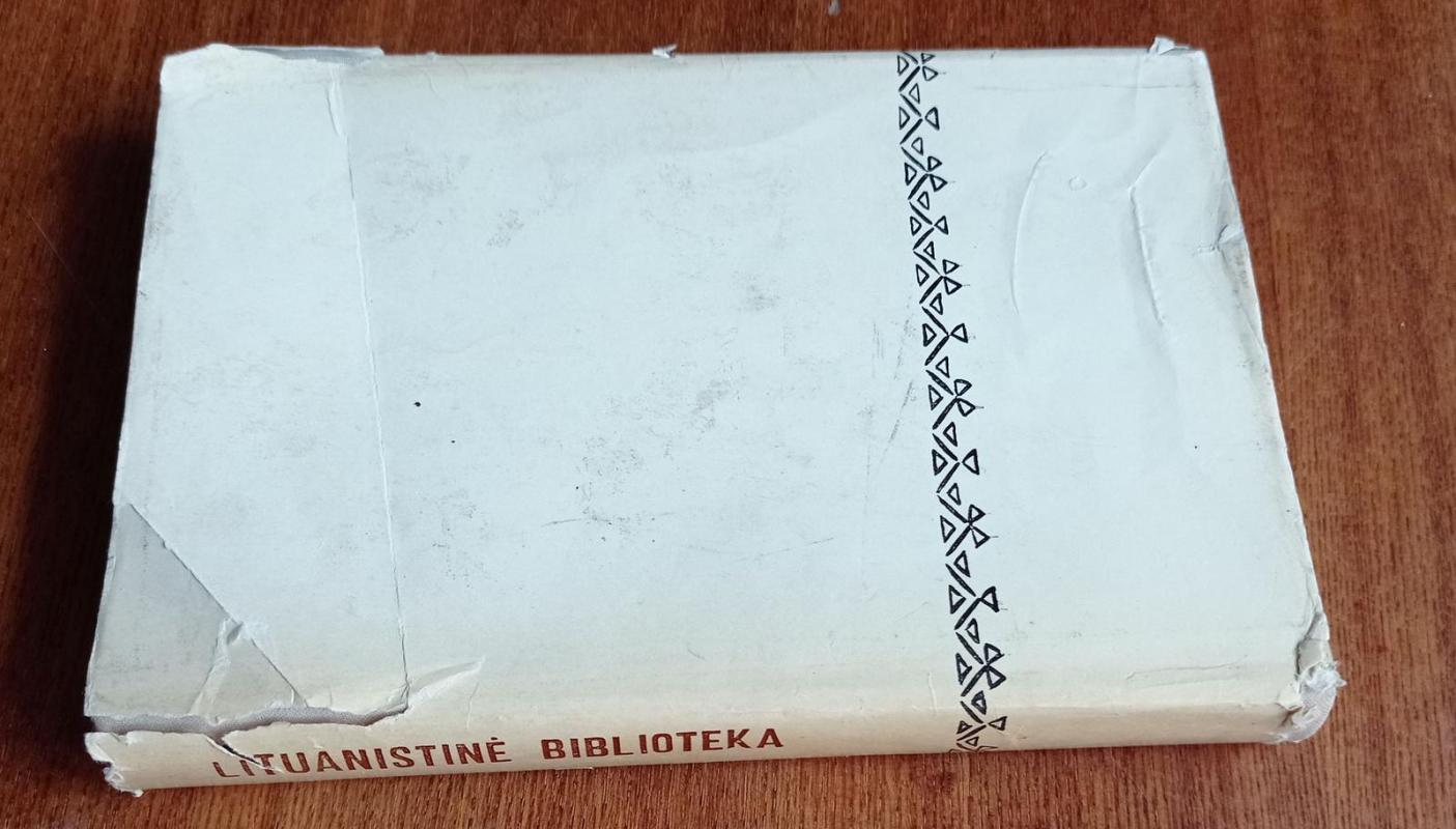 Lietuvos metraštis. Bychovco kronika - Autorių Kolektyvas, knyga 5