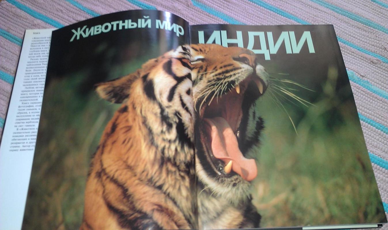 \"Животный мир Индии \" - Беди Рамеш, knyga 5