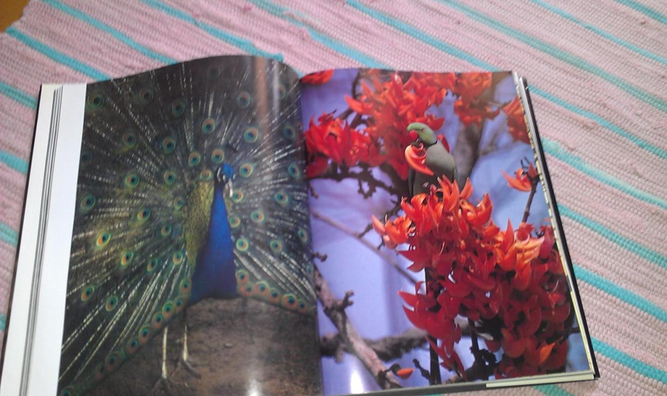 \"Животный мир Индии \" - Беди Рамеш, knyga 3