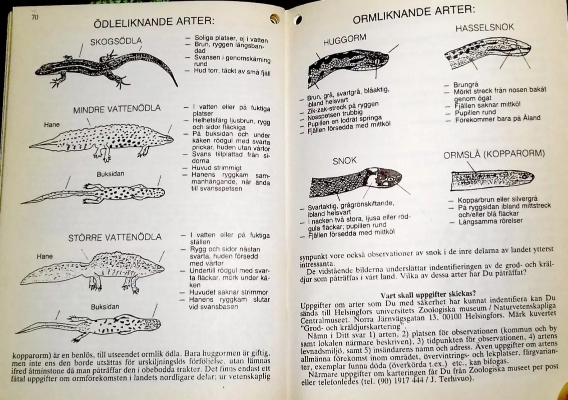 Almanack för året 1991 - Autorių Kolektyvas, knyga 6