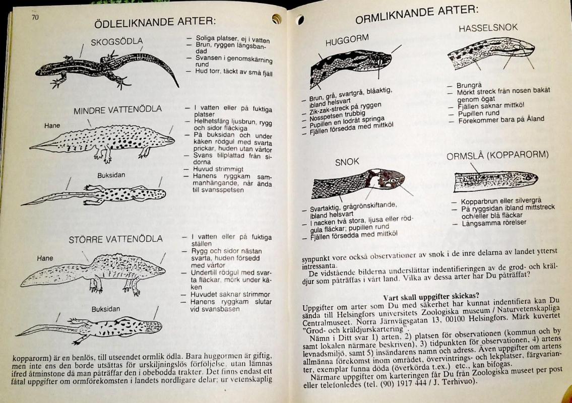 Almanack för året 1991 - Autorių Kolektyvas, knyga 6