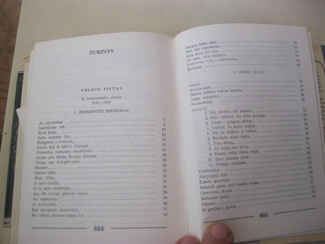 Upės ir tiltai - Algimantas Baltakis, knyga 2