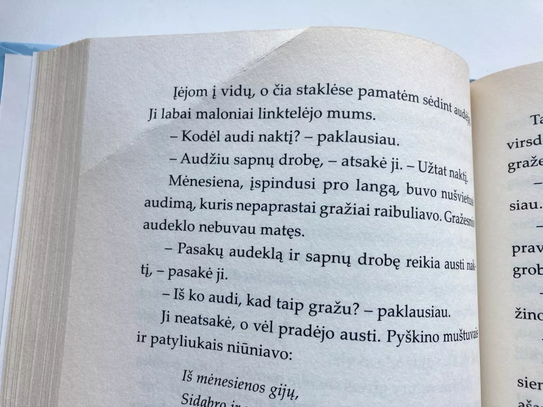 Mijo, mano Mijo - Astrid Lindgren, knyga