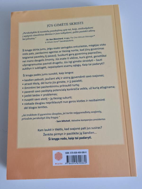 Jei vikšras gali skristi, galiu ir aš - Alvin Day, knyga 3