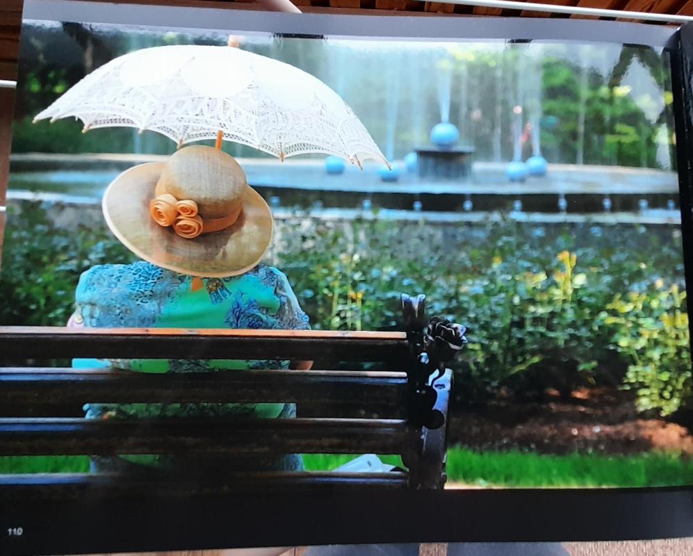 Alytus - Autorių Kolektyvas, knyga