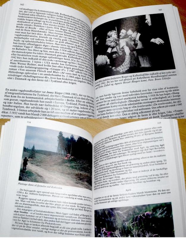 Københavns Universitets Almanak Skriv- og Rejse-Kalender 1990 - Lilian Noval, knyga 3