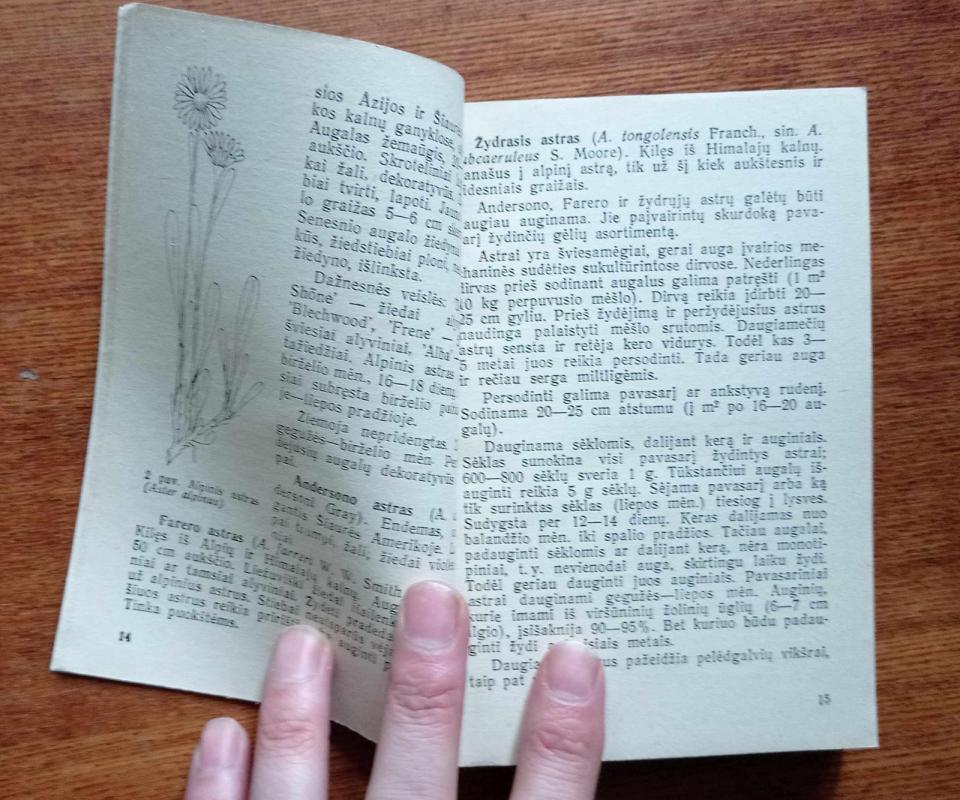 Ankstyvosios daugiametės gėlės - Danutė-Jadvyga Dainauskaitė, Jonas  Vaidelys, knyga 3