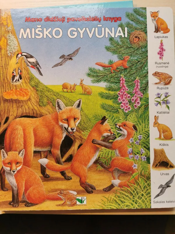 Miško gyvūnai - Autorių Kolektyvas, knyga