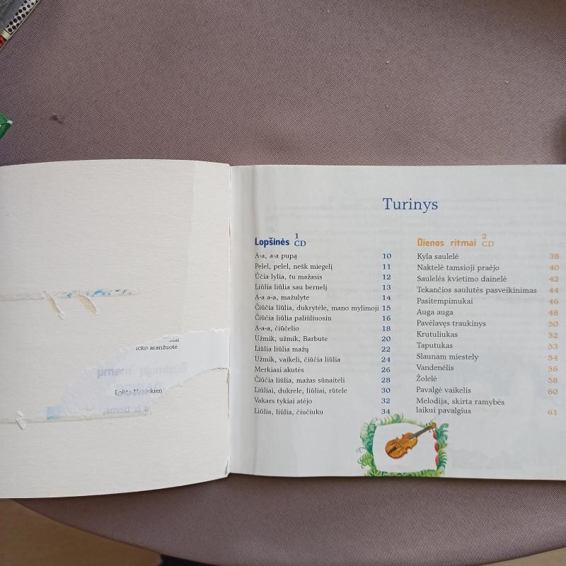 Būsimųjų mamų dainos - Lolita Navickienė, knyga