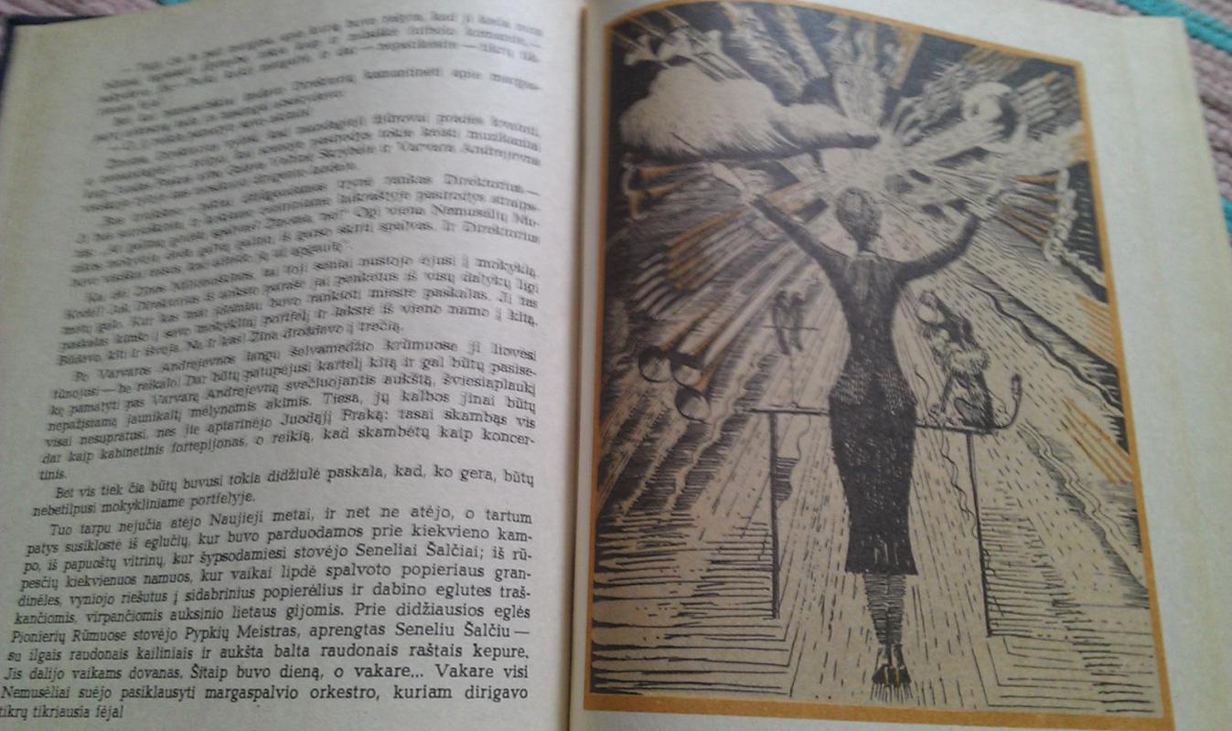 Panaktinis - Veniaminas Kaverinas, knyga 4