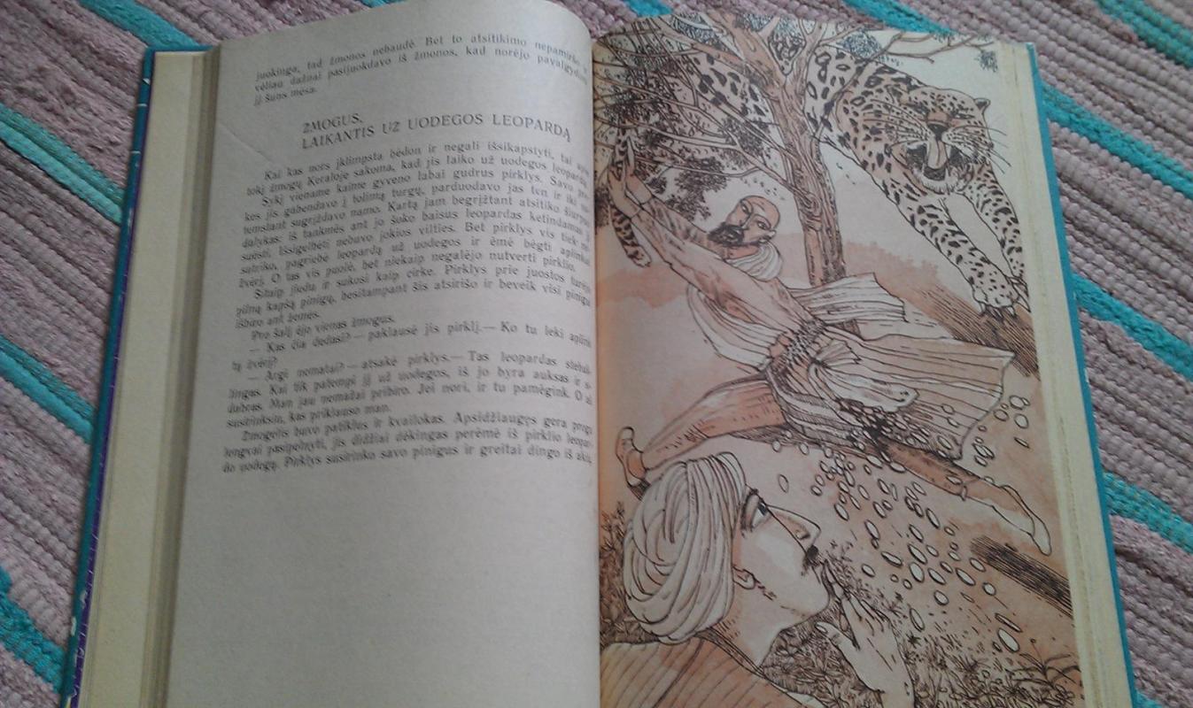 Deivės Lakšmės akmuo.Indų pasakos - Autorių Kolektyvas, knyga 3