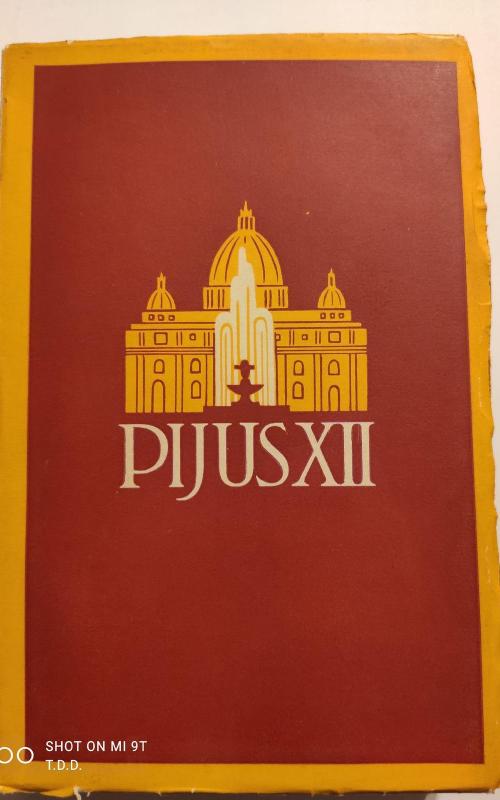 Pijus XII - Pranas Brazys MIC, knyga 2