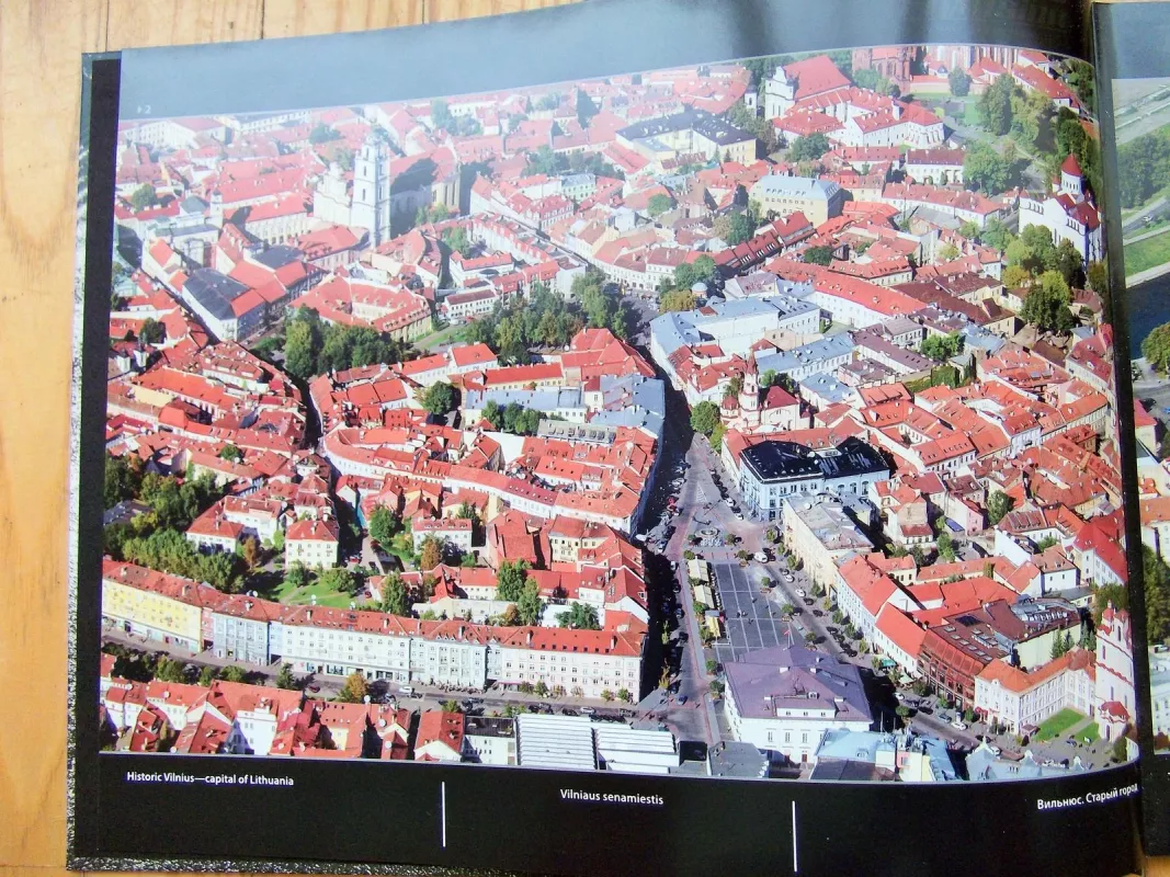 Skrydžio vizija - Arūnas Rupkus, knyga 4