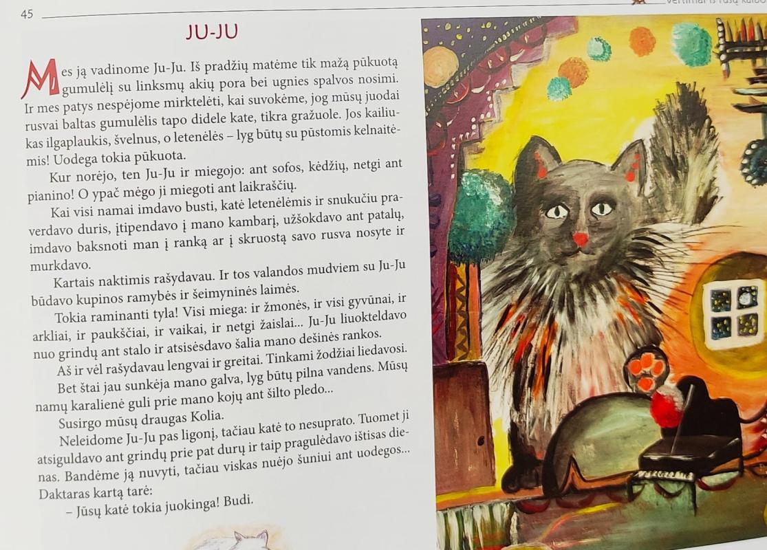 Tavo žvilgsnis. Vertimų ir iliustracijų projektas - Autorių Kolektyvas, knyga 4