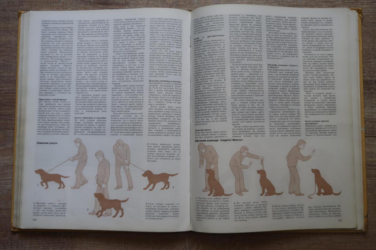 ВАША СОБАКА - ДЖОАН ПАЛМЕР, knyga 2