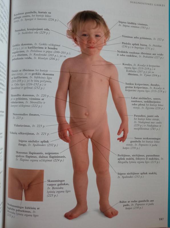 Motinos ir vaiko knyga - Elizabeth Fenwick, knyga 3