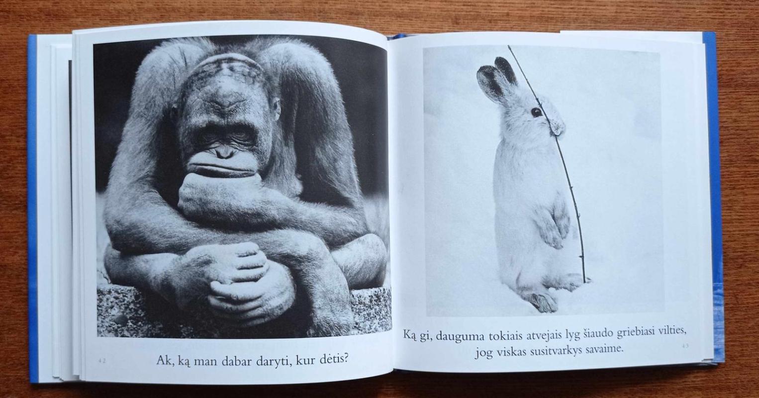 Kai liūdesys tave aplanko - Bradley Trevor Greive, knyga 4