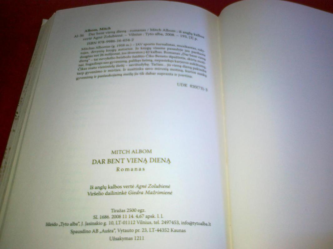 Dar bent vieną dieną - Mitch Albom, knyga