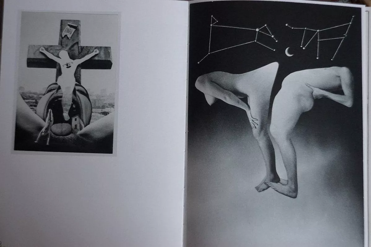 Nuogo kūno teorija. The theory of a naked body (fotoalbumas) - Donatas Stankevičius, knyga