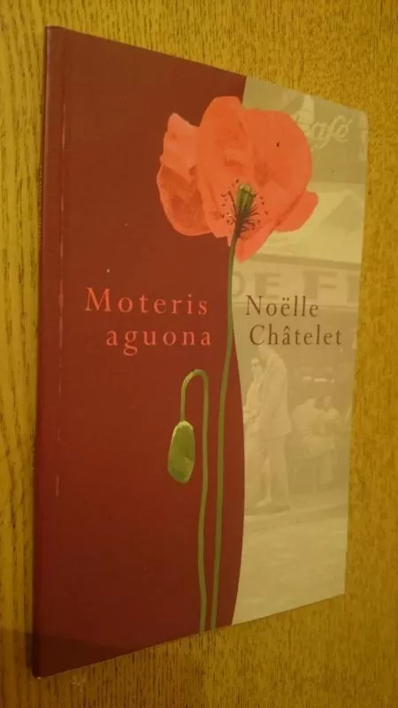 Moteris aguona - Noelle Chatelet, knyga