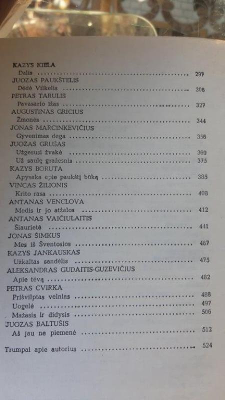 Už saulę gražesnis - A. Zalatorius, knyga 2