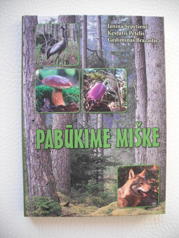 Pabūkime miške - Autorių Kolektyvas, knyga 2