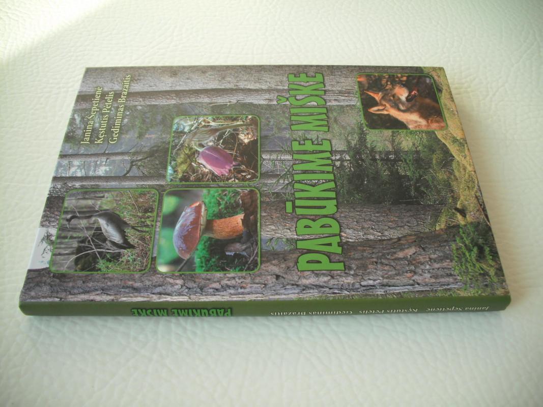 Pabūkime miške - Autorių Kolektyvas, knyga 3