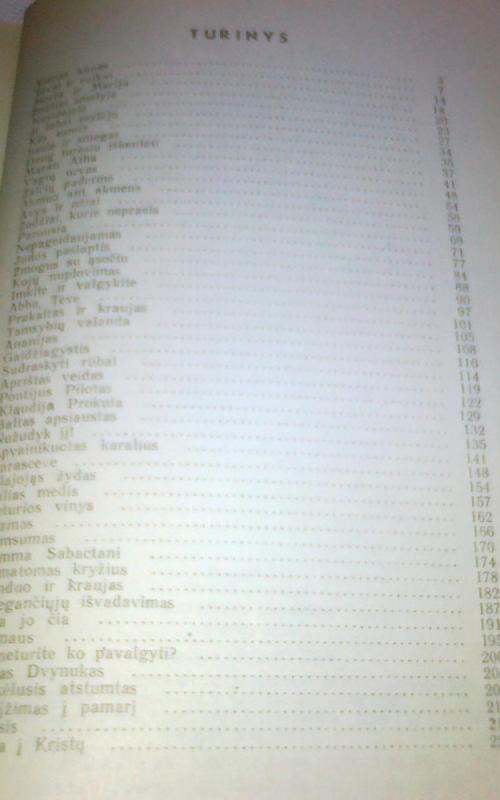 Kristaus istorija. I ir II knygos - Giovanni Papini, knyga 2