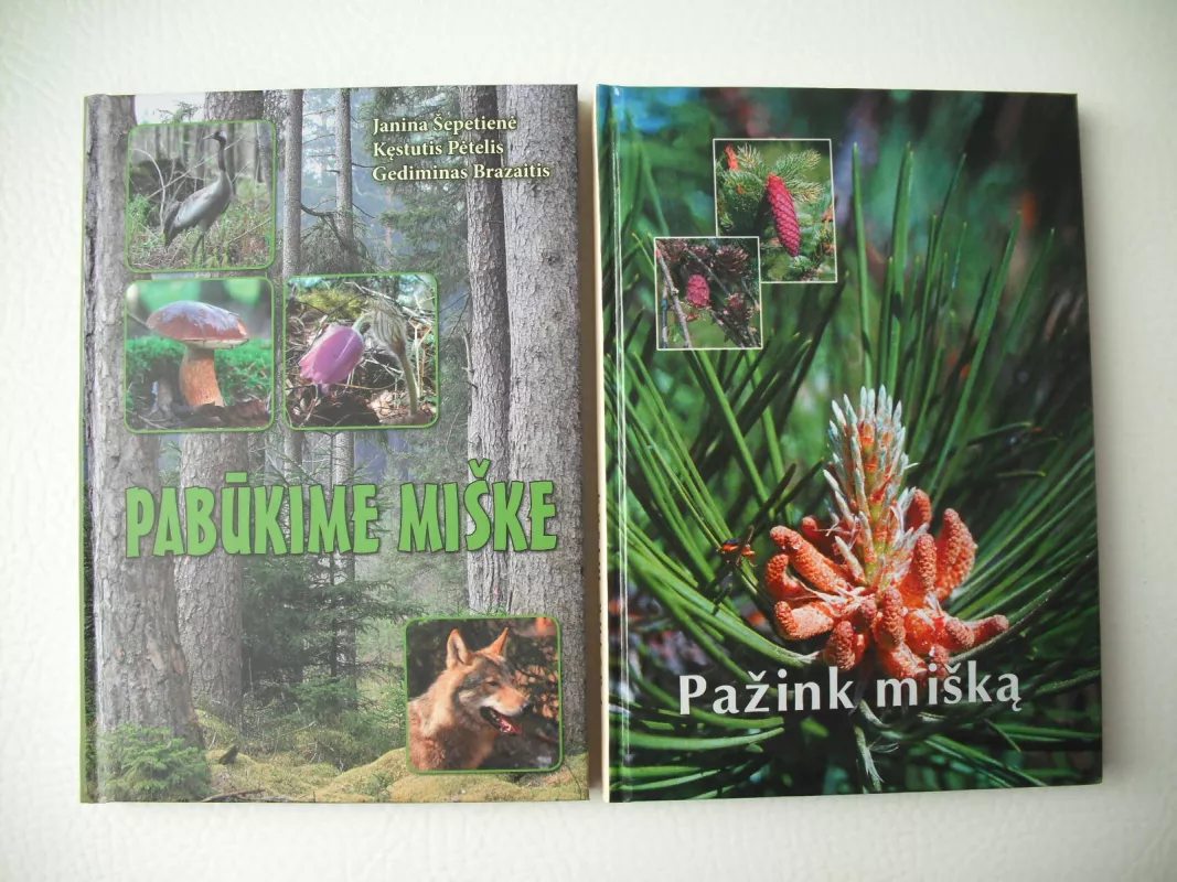 Pabūkime miške - Autorių Kolektyvas, knyga 4