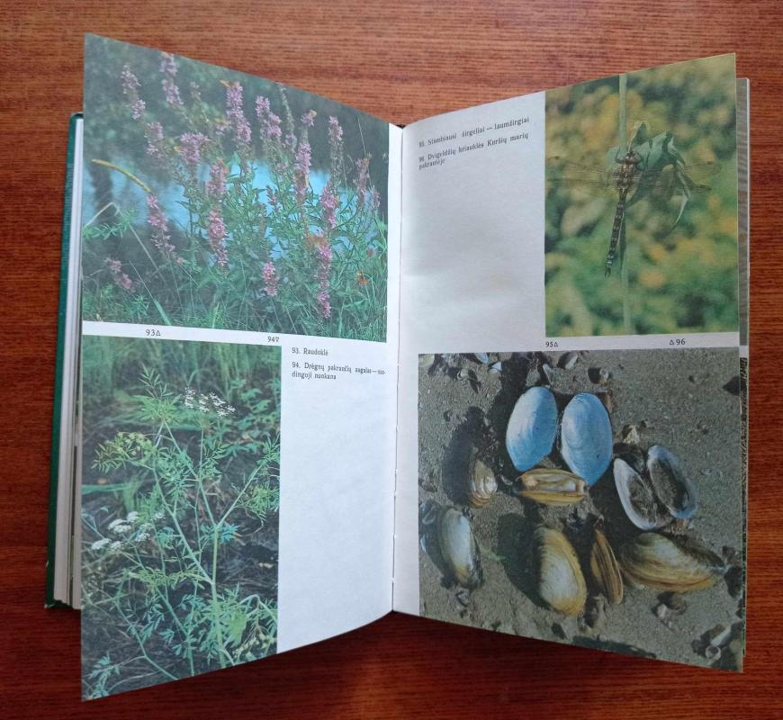 Biologo vadovas - Autorių Kolektyvas, knyga 4