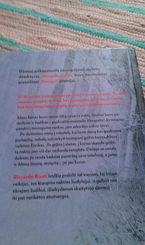 Drugelių naktis - Riccardo Bruni, knyga 3