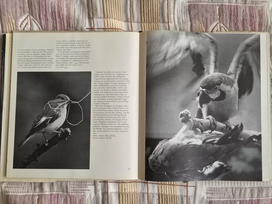 Zoofotografie - Brinsch Seifert, knyga
