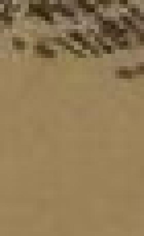 Jaunasis akordeonistas 1952 m. - Povilas Četkauskas, knyga 2