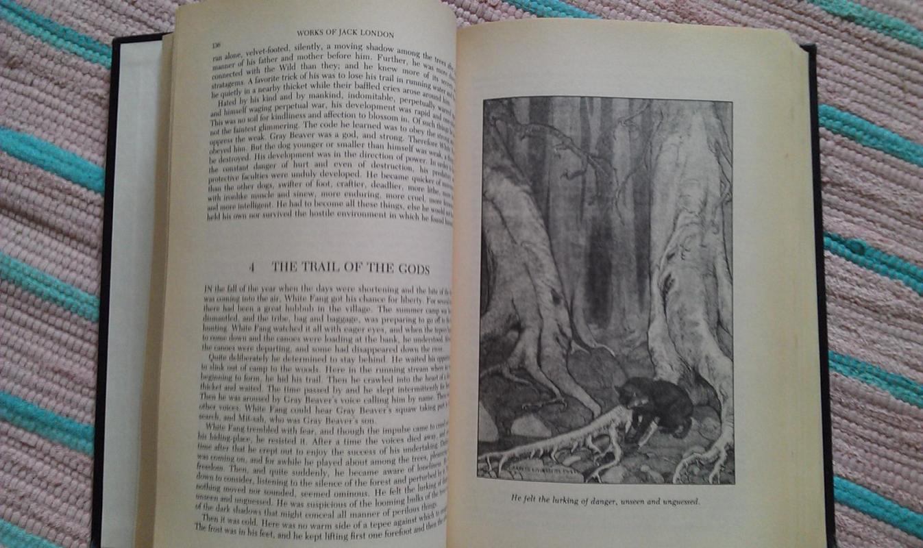 Works of Jack London Illustrated - Paul J. Horowitz, knyga 3