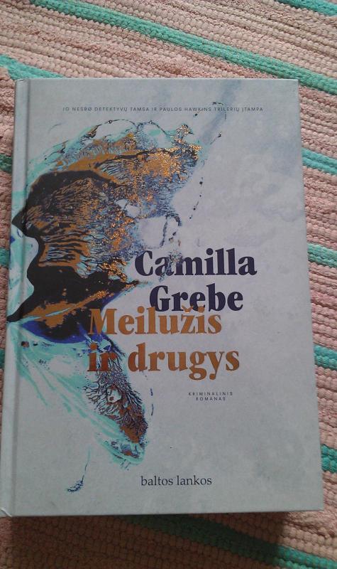 Meilužis ir drugys - Camilla Grebe, knyga 2