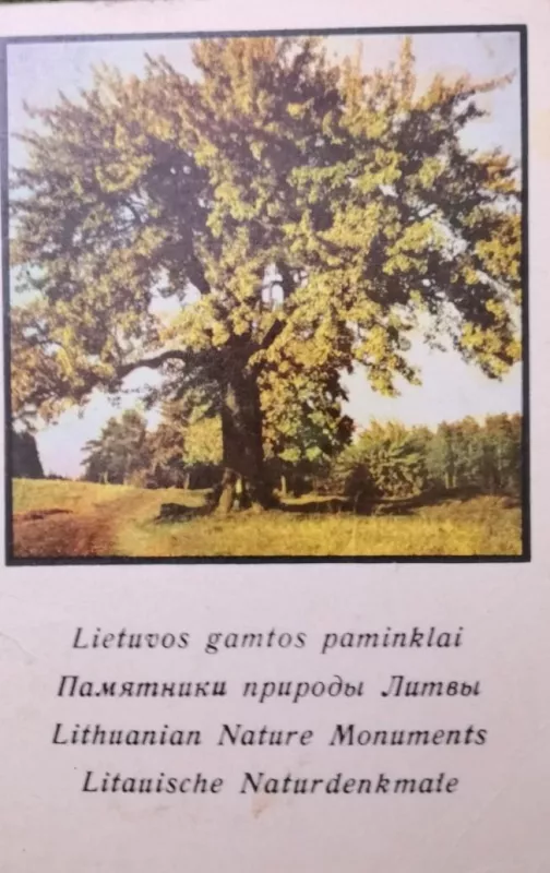 Lietuvos gamtos paminklai - N. Voveraitienė, knyga 5