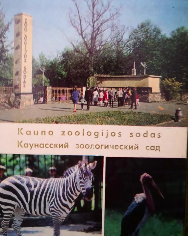 Kauno zoologijos sodas - N. Voveraitienė, knyga 3