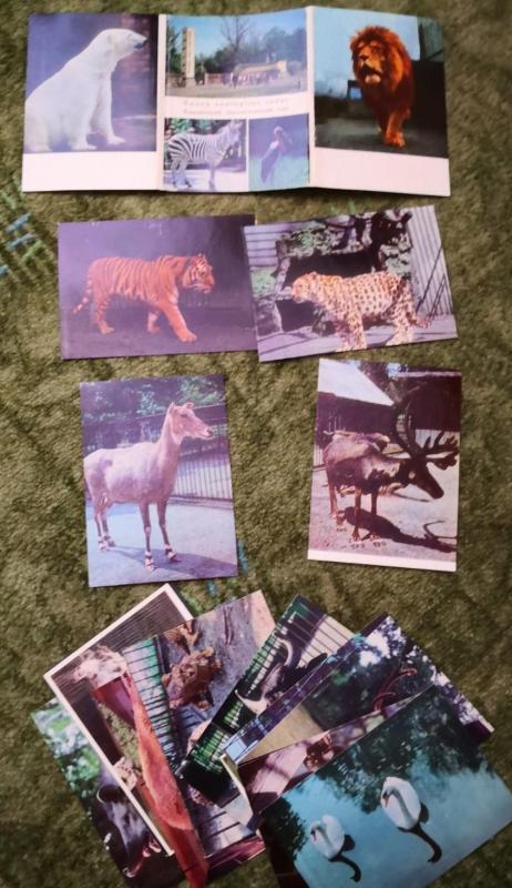 Kauno zoologijos sodas - N. Voveraitienė, knyga 2