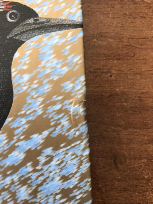 Ragana ir lietus - Jurga Ivanauskaitė, knyga