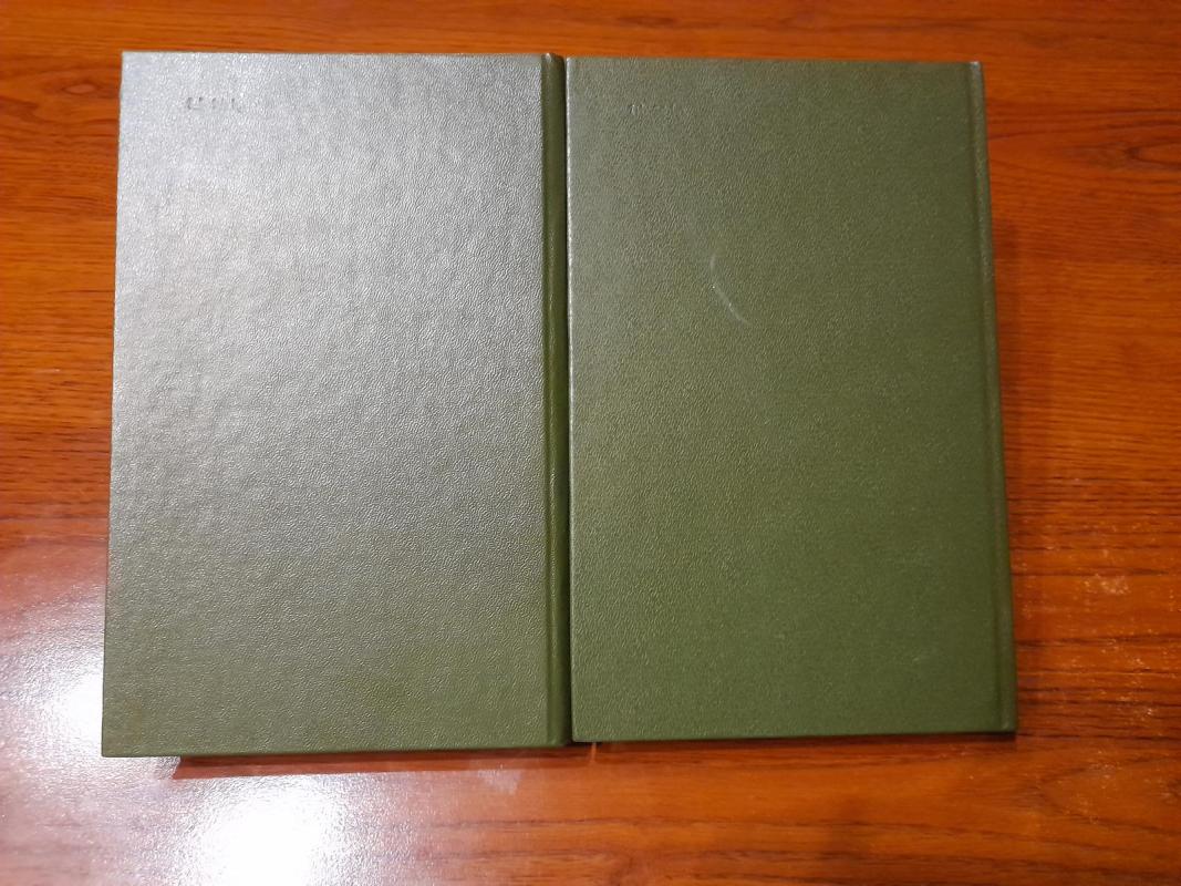 Ugnies pagrobimas (2 dalys) - G.I. Serebriakova, knyga 4