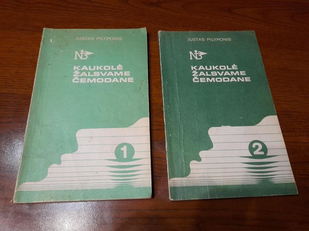 Kaukolė žalsvame čemodane (2 dalys) - Justas Pilyponis, knyga 3