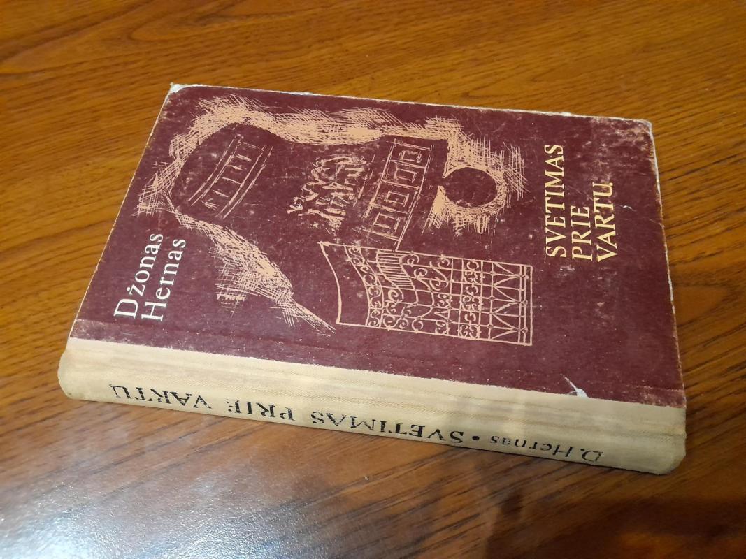 Svetimas prie vartų - Džonas Hernas, knyga 5