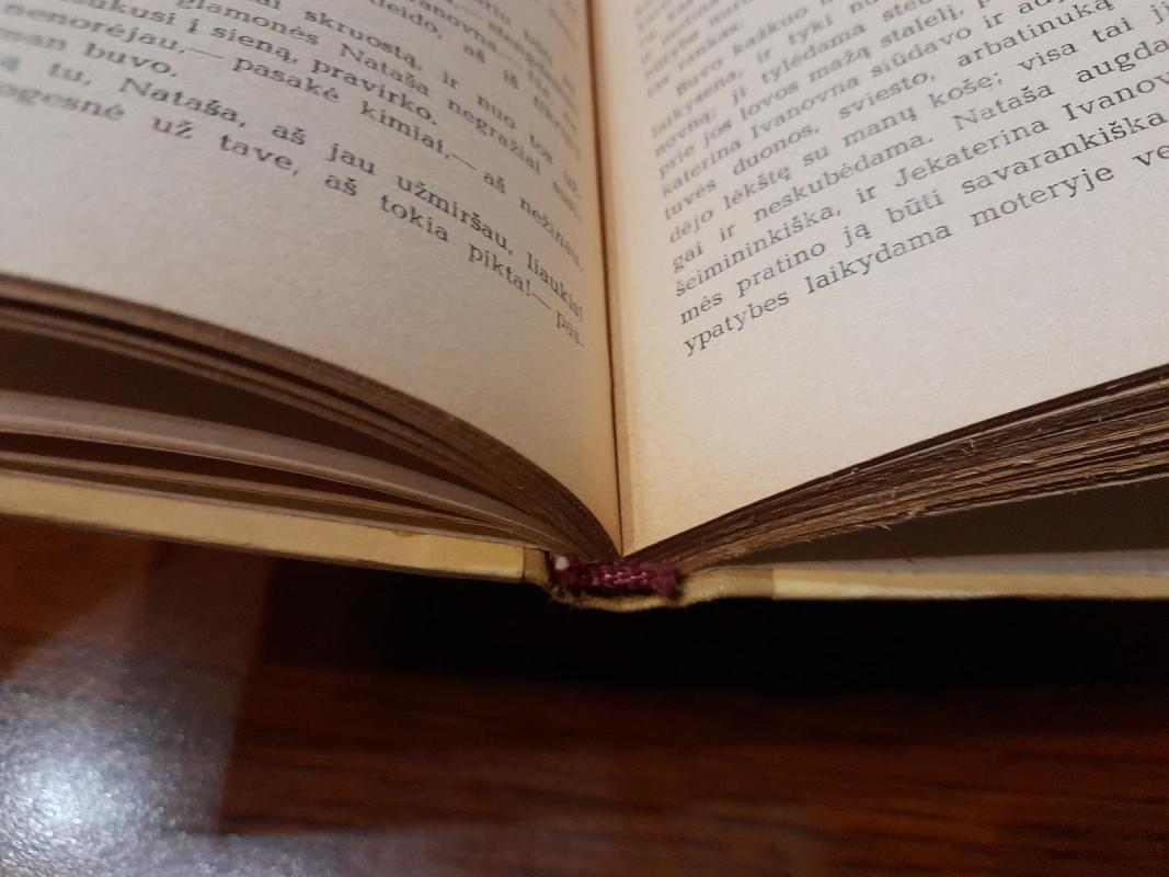 Šeštoji naktis. Tykus skambesys - Piotras Proskurinas, knyga 3