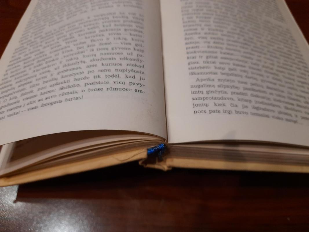 Audros dvelksmas - Ivanas Meležas, knyga 3