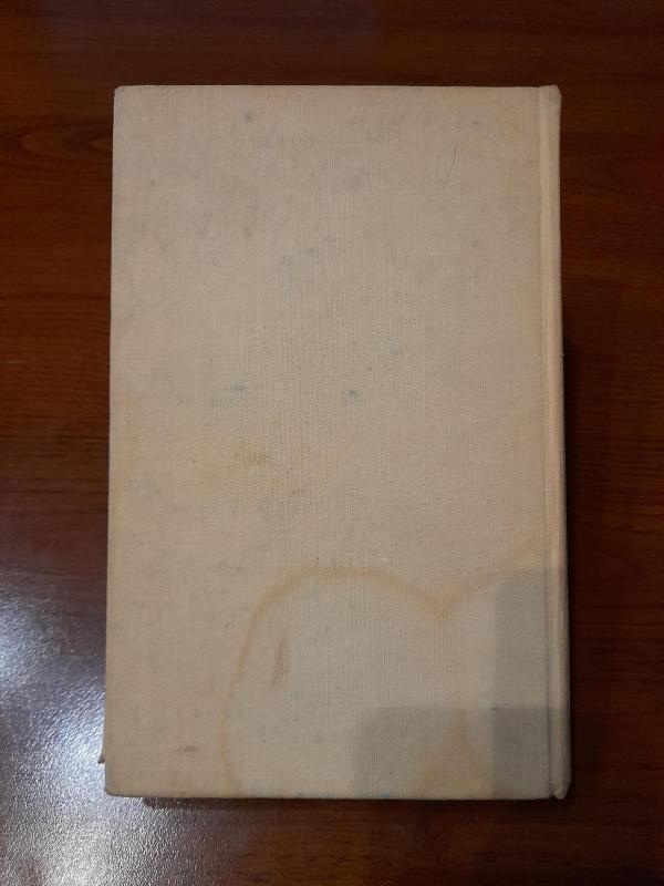 Audros dvelksmas - Ivanas Meležas, knyga 4